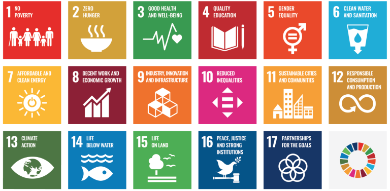 Figure 1: United Nations Sustainable Development Goals (United Nations, 2024)