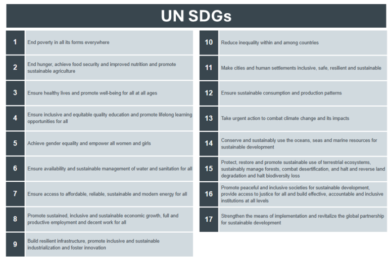 Figure 2: Brief Description of the 17 UN SDGs (adapted from ICAO, 2024)